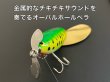 画像4: フィッシュデバイス『ダンガンスイングFD』 (4)