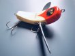 画像2: HYBRID LURE CRAFT『HAPPY BIRD』 (2)