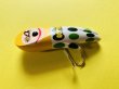 画像2: LUNKER'S PET『DUW-TARO』 (2)