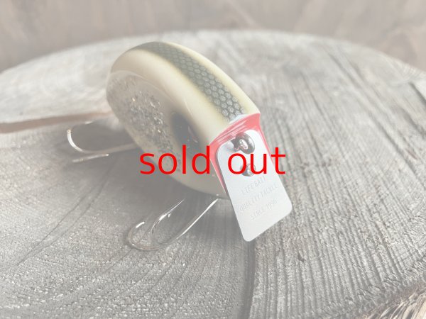 画像1: ライフベイト『ヒップフラップ2』 (1)